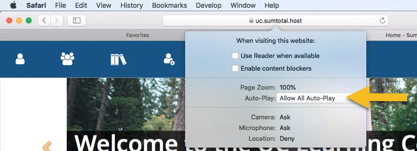 screen shot of Safari settings