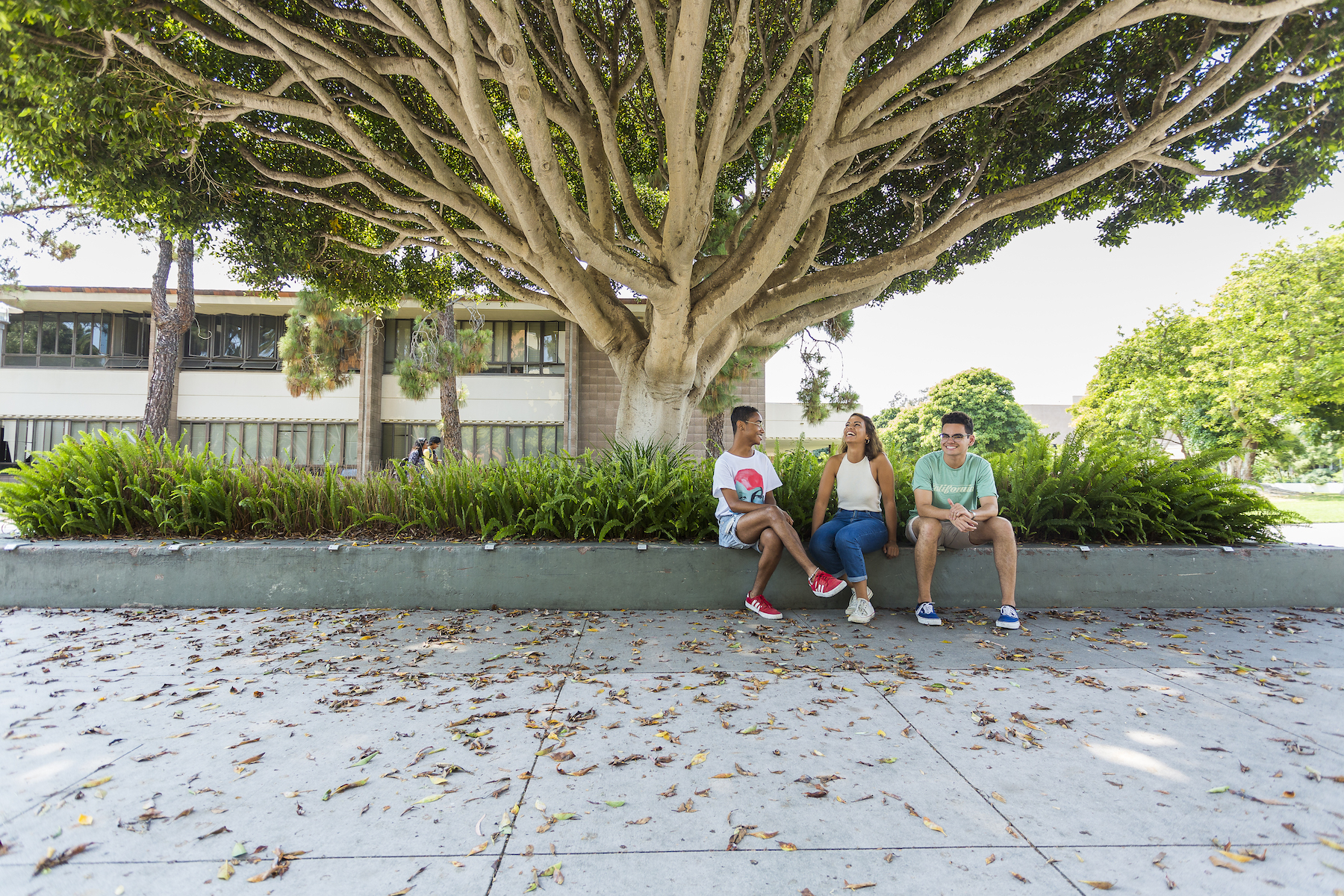 UCSB