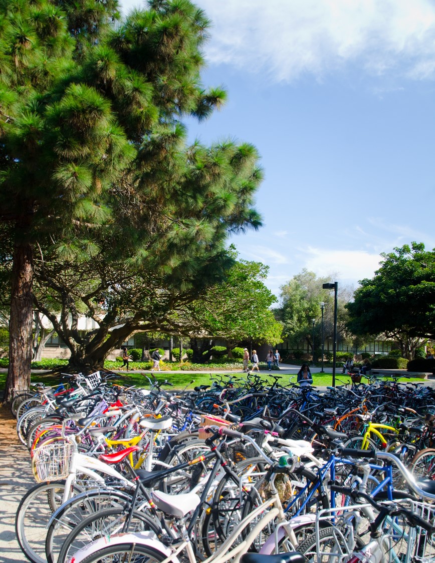 Bikes on campus